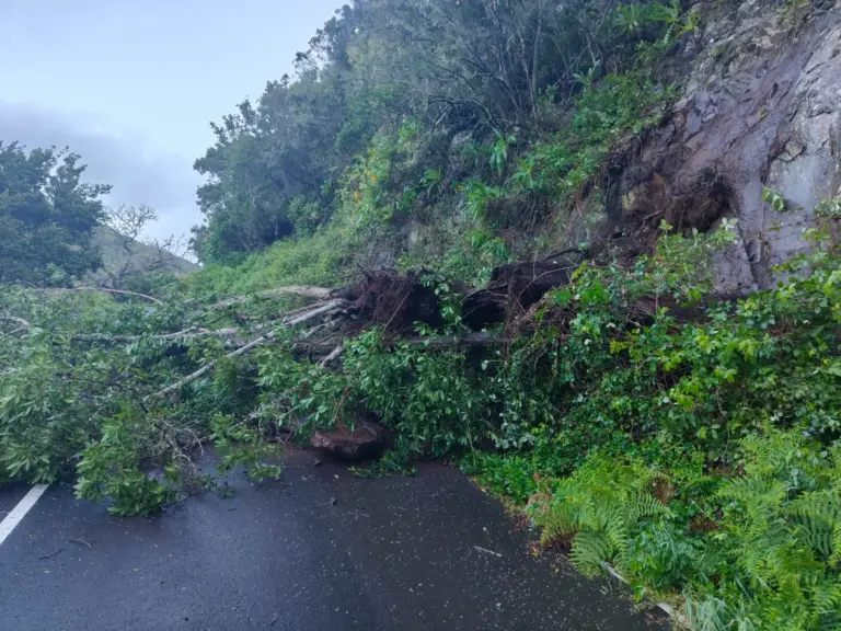 Casi 400 incidencias en Canarias por la borrasca Therese
