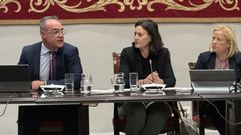 Canarias propone renovar el REF para premiar la solvencia y la conciliación laboral