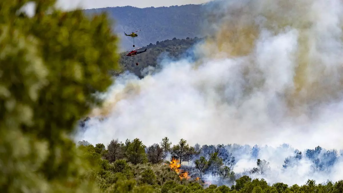 Asturias eleva a 32 los incendios forestales