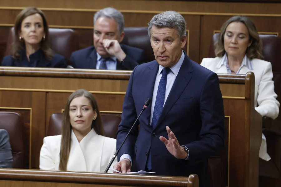 Alberto Núñez Feijóo en la sesión de control al Gobierno. Imagen EFE