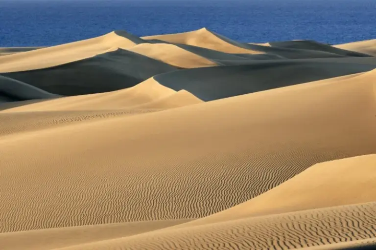 El Cabildo refuerza la vigilancia de las Dunas de Maspalomas en Semana Santa