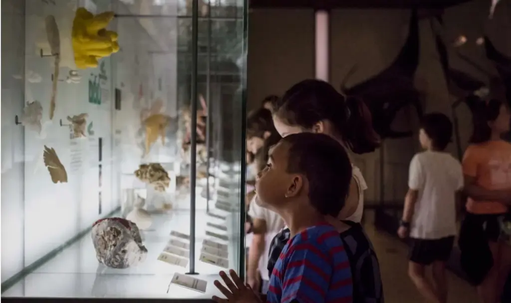 Los museos de Tenerife baten récords con más de 287.000 visitantes