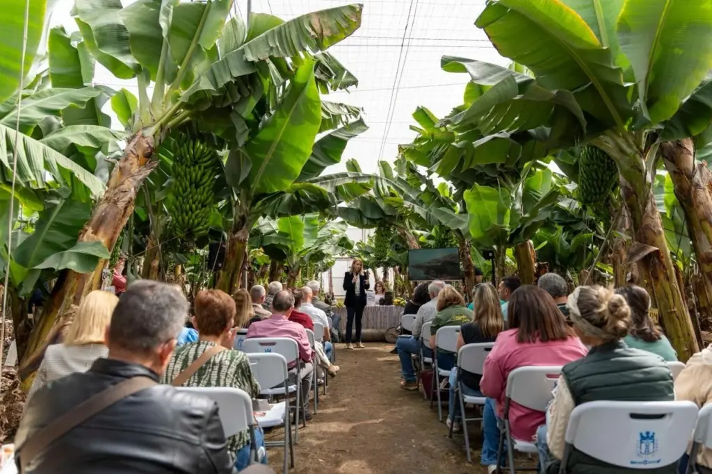 El Hierro impulsa 'El Alma de Mi Tierra' para unir sus sectores productivos