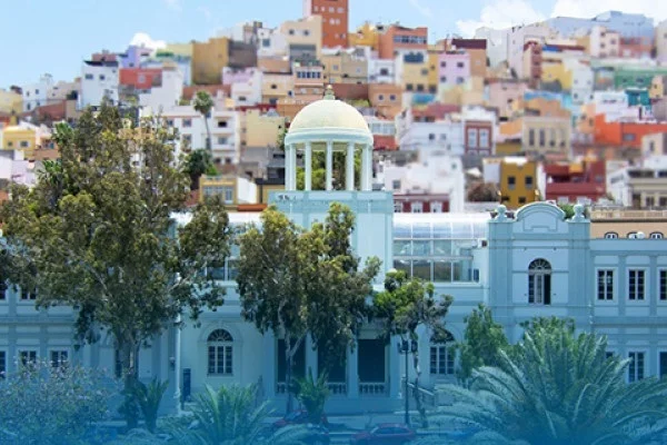 La ULPGC entra en el ‘Top 10’ de universidades más transparentes de España