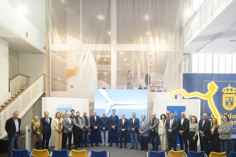 Gran Canaria pide al Gobierno la convocatoria urgente de la primera subasta de eólica marina