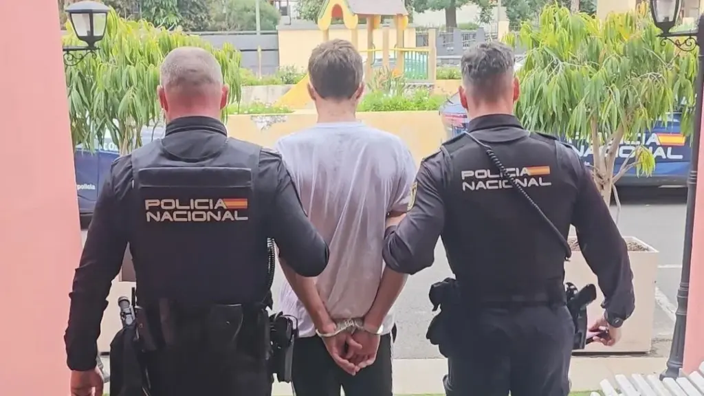 Detenidos tres jóvenes por robos violentos en Puerto de la Cruz