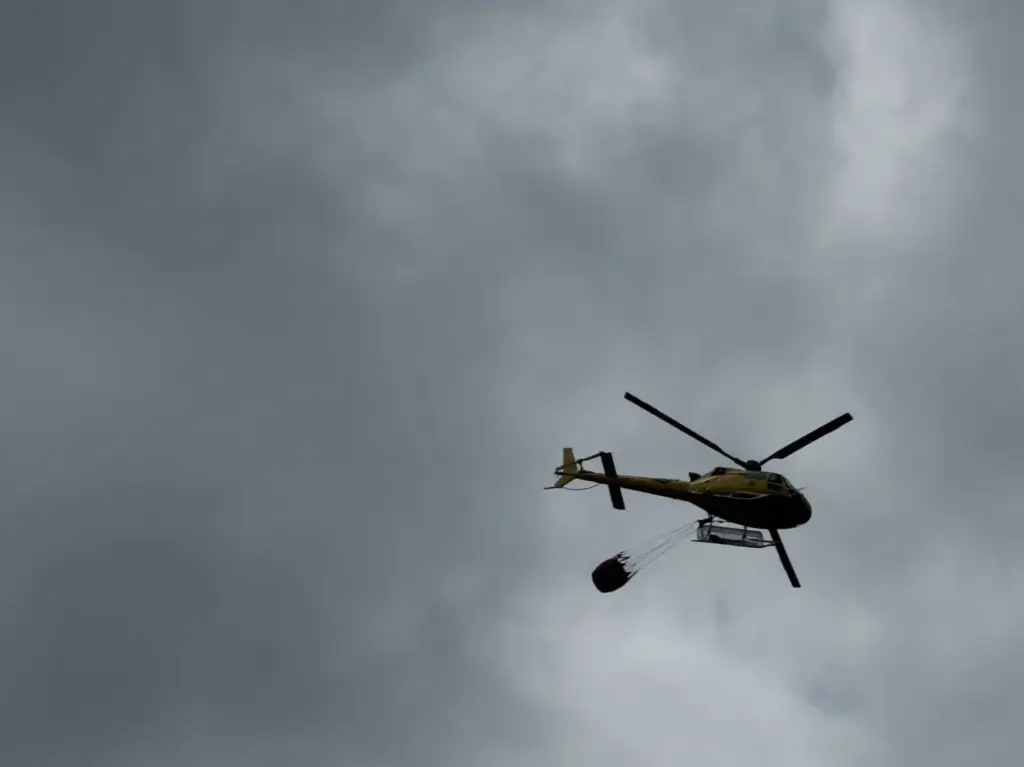 Simulacro de incendio forestal en Moya, Gran Canaria. Imagen RTVC
