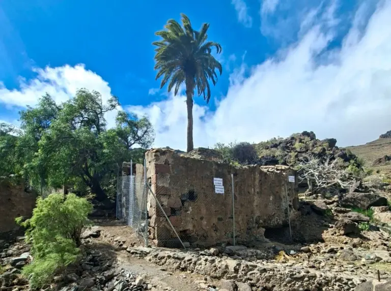 La Policía Canaria frena actos vandálicos y el expolio en los Molinos de Samarín