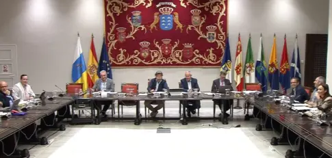 Los cabildos apoyan el decreto anticrisis, pero manifiestan su inquietud por el impacto en el IGIC