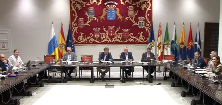 Los cabildos apoyan el decreto anticrisis, pero manifiestan su inquietud por el impacto en el IGIC