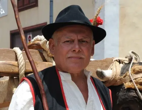 La Laguna abre el plazo para el Premio Pedro Molina Ramos