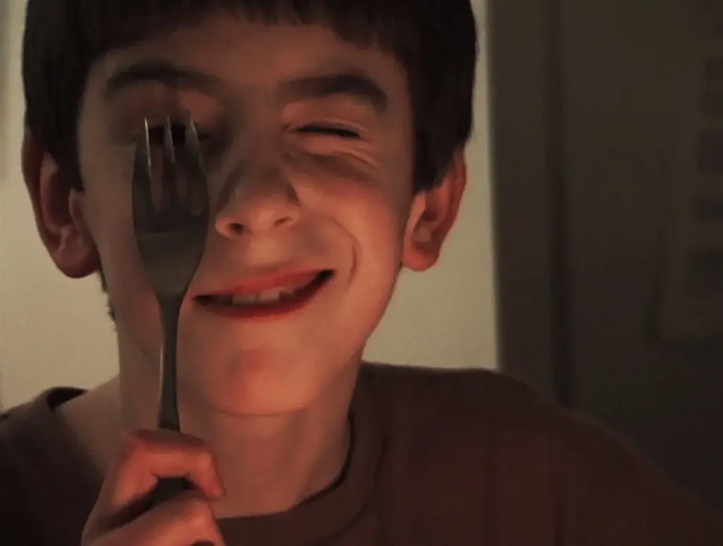 Fotograma de 'Remake', de Ross McElwee