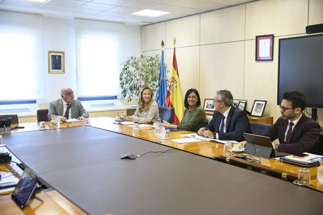 Reunión de Rosa Dávila con la DGT para hablar sobre las grúas exprés