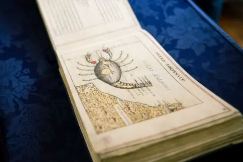 El histórico manuscrito de Leonardo Torriani sobre Canarias podrá verse en La Laguna