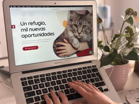 San Bartolomé lanza una web para facilitar la adopción de mascotas