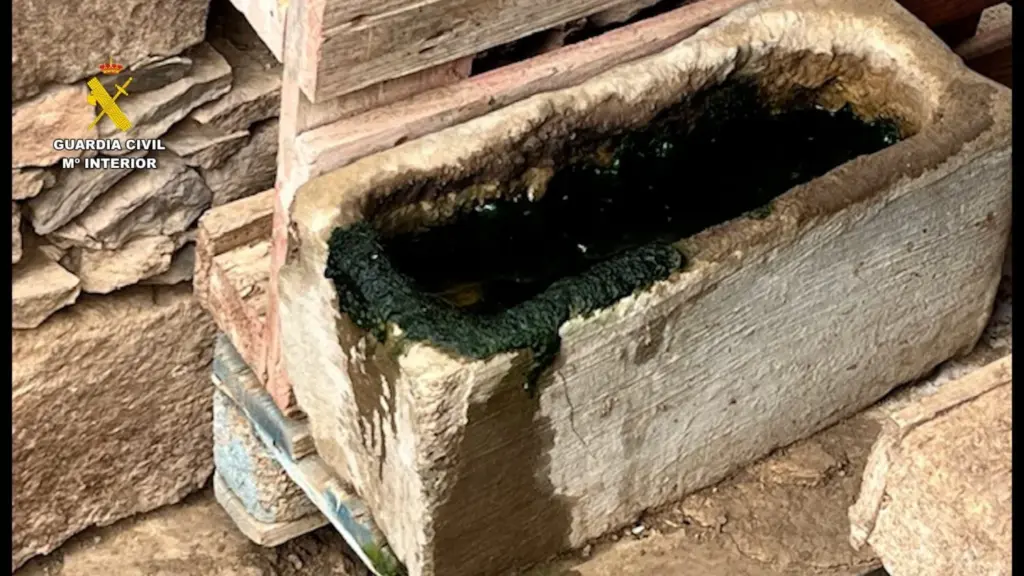 Rescatan a 29 perros maltratados en una finca de Gran Canaria