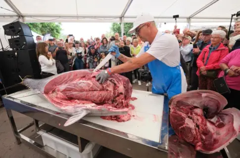Morro Jable acoge la Feria del Bonito y del Atún