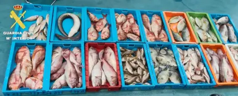 La Guardia Civil incauta 230 kilos de pescado ilegal en La Graciosa