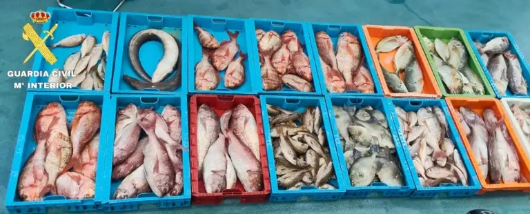 ‘Cebollas verdes’ aborda el posible riesgo de intoxicación por ciguatera en Canarias