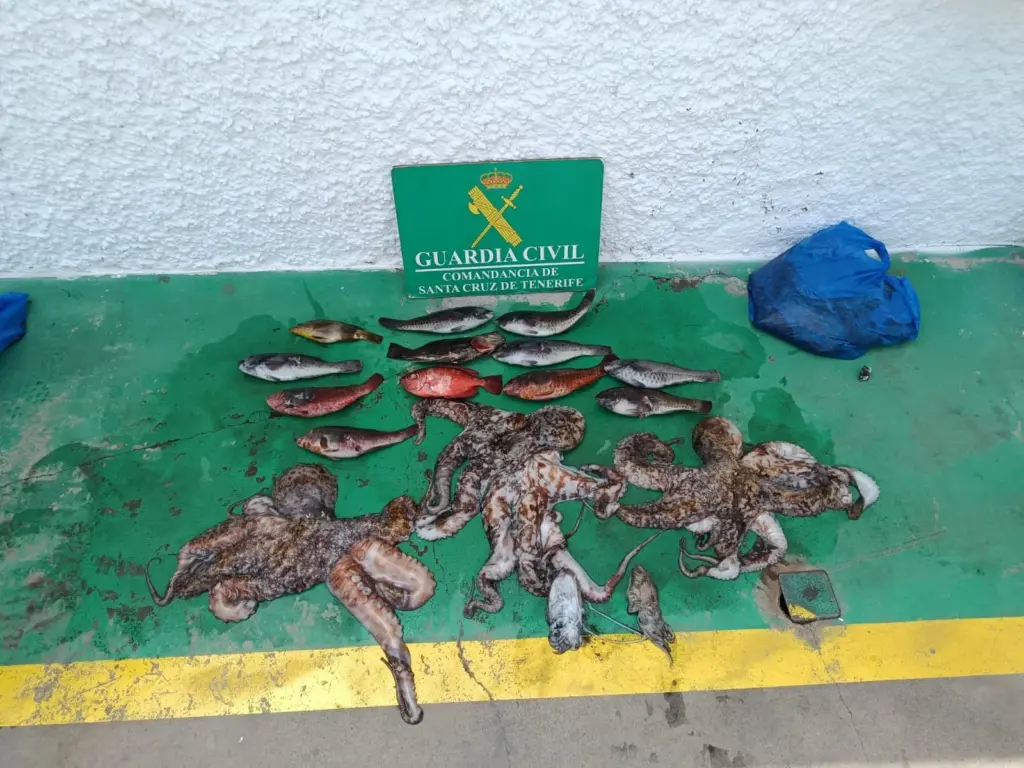 Tres detenidos por pesca ilegal en Candelaria