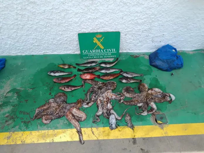 Tres detenidos por pesca ilegal en Candelaria