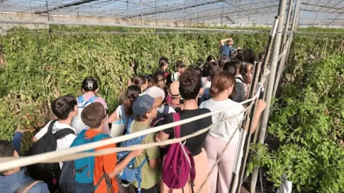 La Laguna muestra a los escolares el proceso de producción agraria en busca de un relevo generacional para el sector