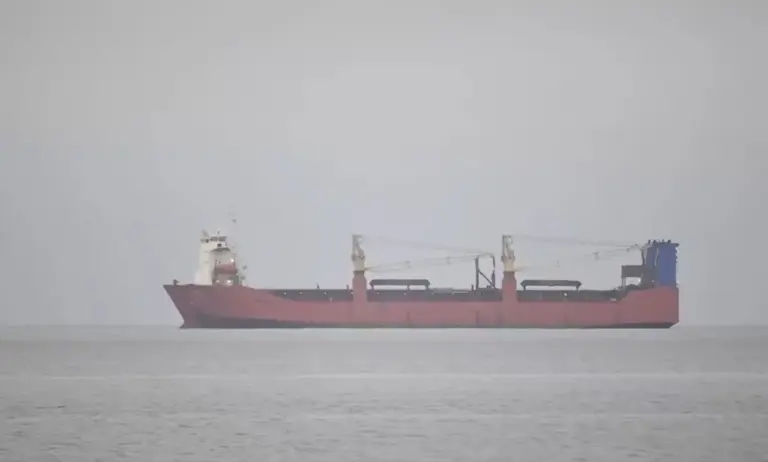 Suecia aborda un carguero sospechoso de delitos ambientales que se dirigía a Gran Canaria