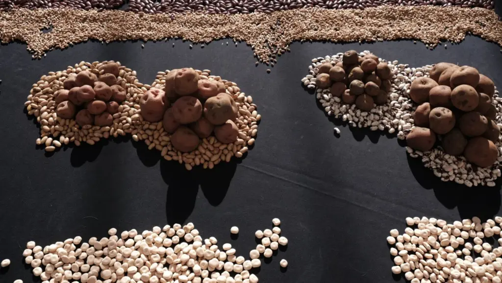 Cultivos afectados tras la borrasca Therese 