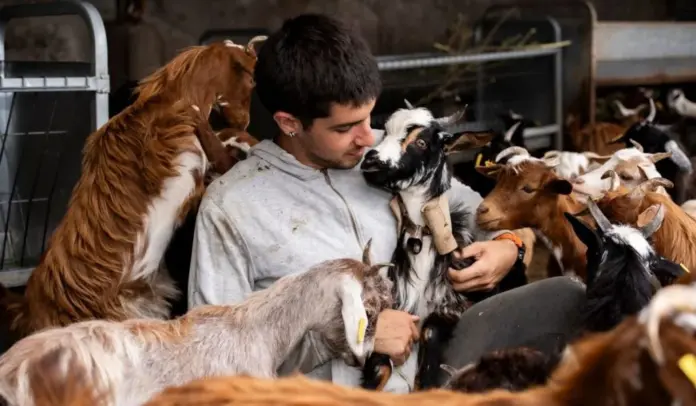 El paso de la borrasca 'Therese' obliga a cerrar la quesería más joven de La Palma