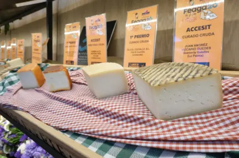 El queso de Julián Díaz ‘Mejor Queso de Canarias’ en los premios Tabefe