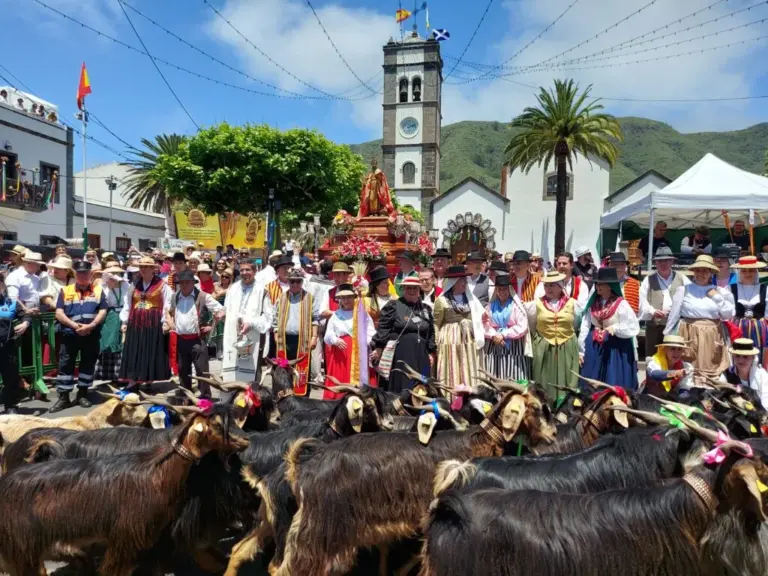 Tegueste celebra este domingo la Romería de San Marcos Evangelista