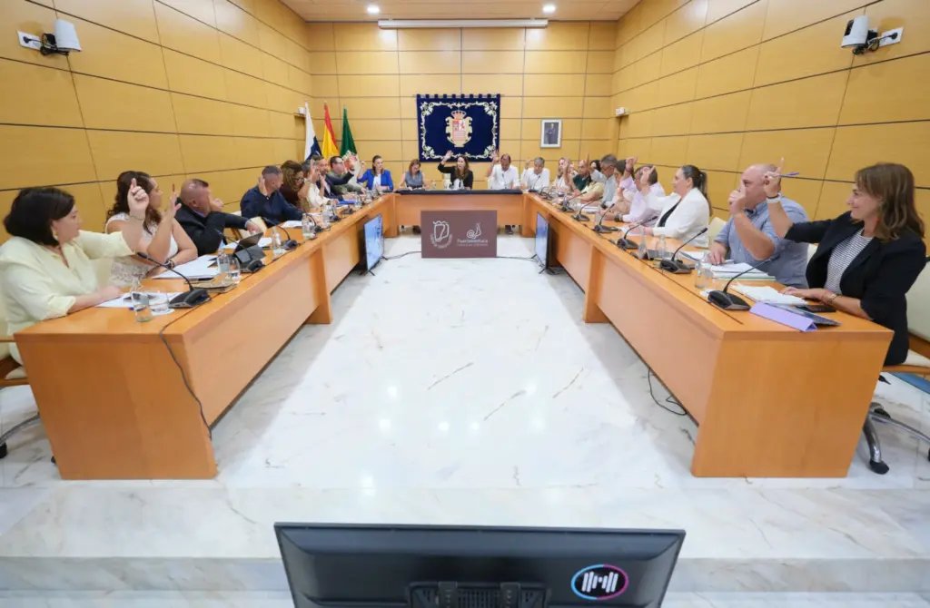 Pleno del Cabildo de Fuerteventura