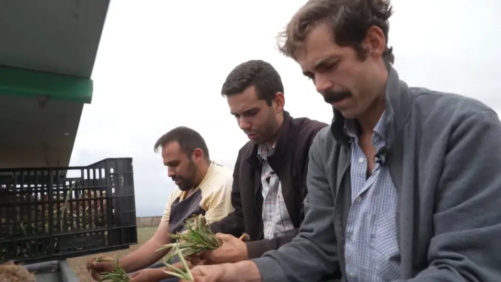 ‘Noveleros’ dedica su próxima entrega a los trabajadores del sector agrícola del Archipiélago prensa 26 mayo 2026