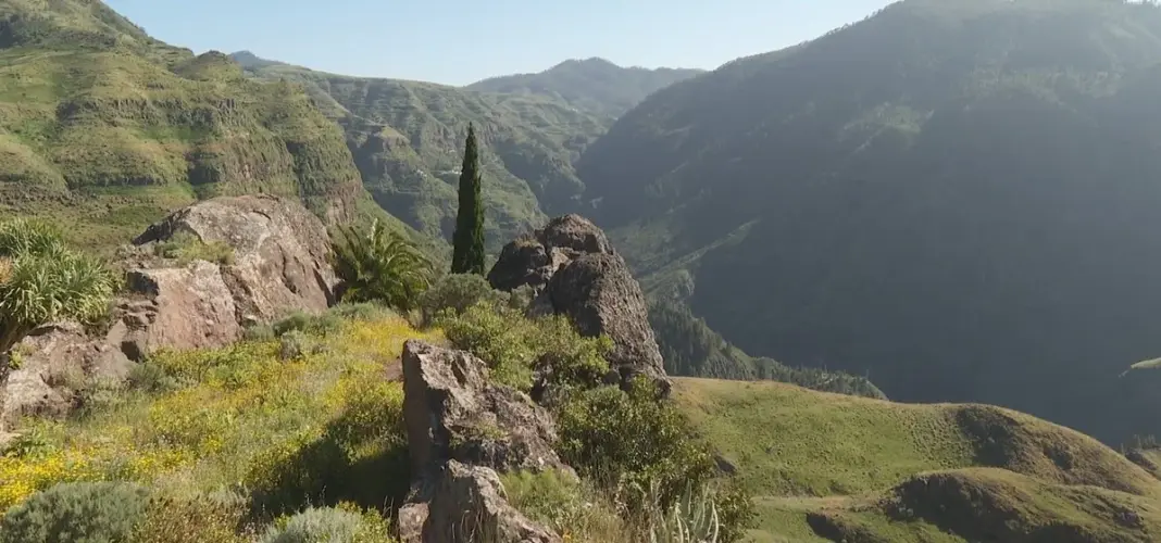 El abandono rural vacía más de veinte municipios canarios desde 2001