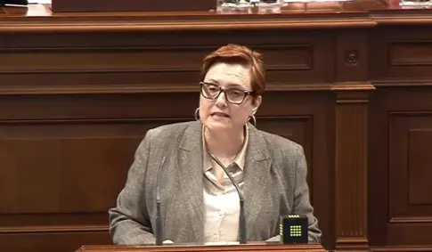 Delgado acusa al Estado de “atropello” por plantear recortar 12,4 millones en dependencia a Canarias