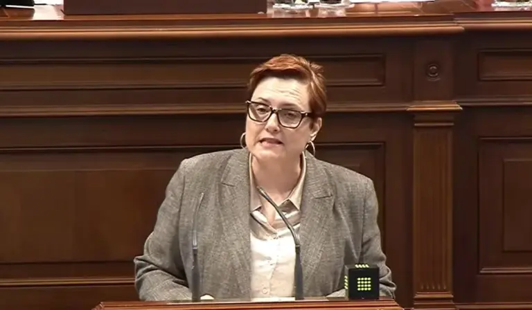Delgado acusa al Estado de “atropello” por plantear recortar 12,4 millones en dependencia a Canarias