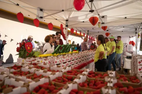 Valsequillo celebra este domingo la Feria de la Fresa