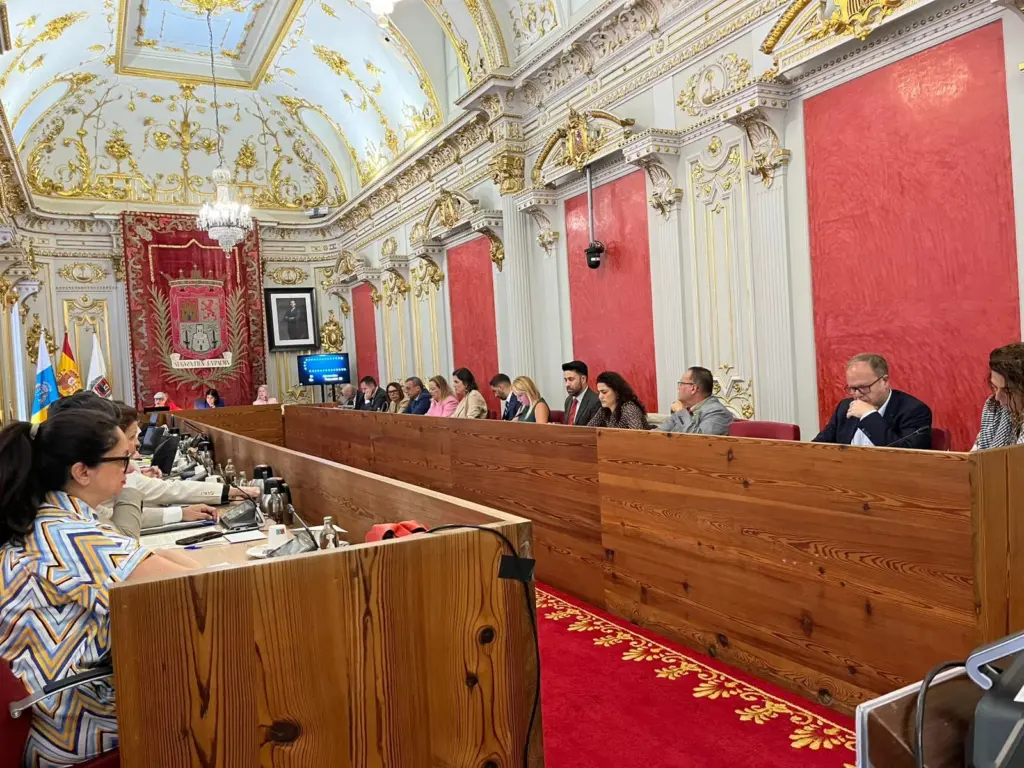 Pleno extraordinario de Las Palmas de Gran Canaria