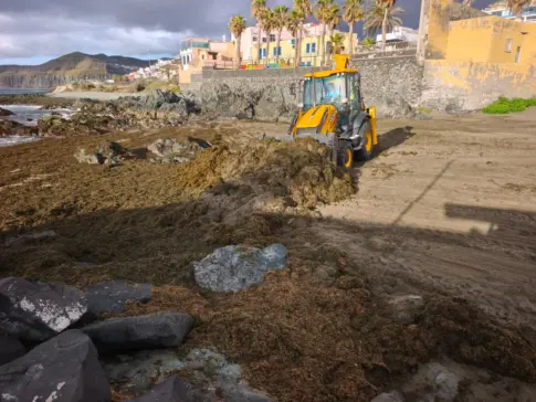 El Ayuntamiento retira más de 5 toneladas de algas del litoral de San Cristóbal, en la capital grancanaria
