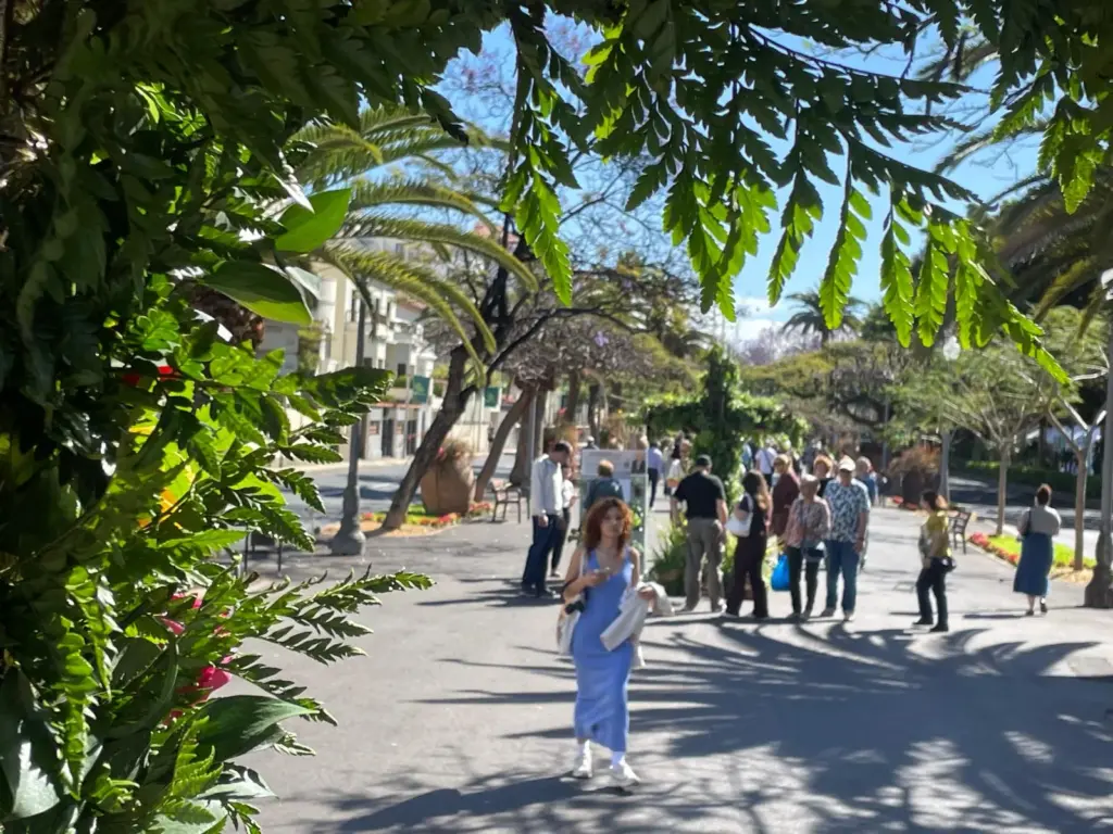 3 de mayo en Santa Cruz de Tenerife. Imagen: Patricia Santana