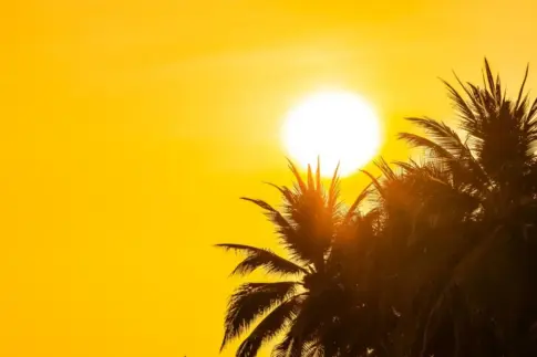Prealerta por incendios forestales en la provincia occidental y Gran Canaria