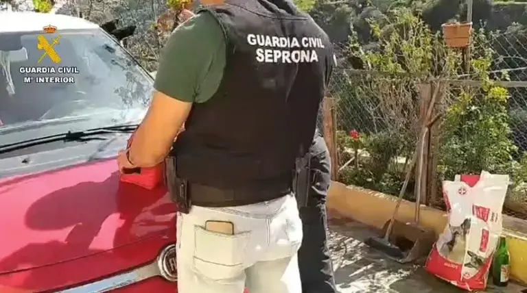 Investigan a un vecino de Telde por la muerte violenta de cuatro perros