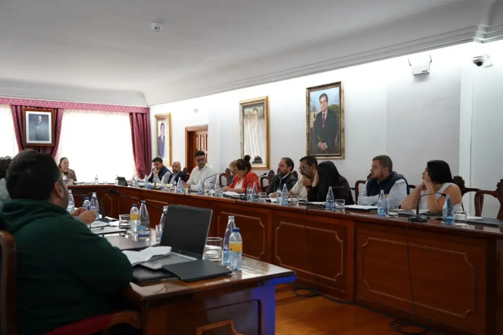 Salón de plenos del Ayuntamiento de Arona