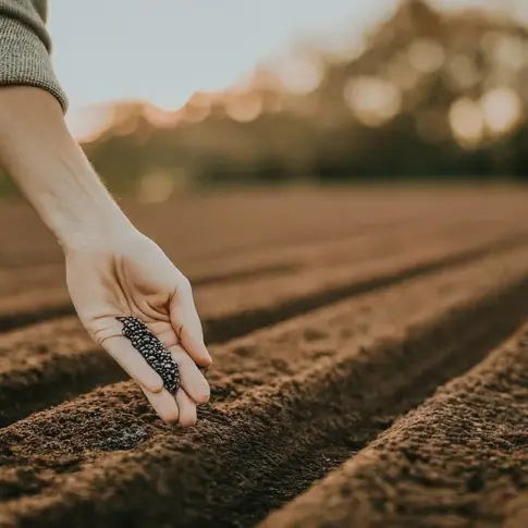 Tuineje revive la historia agrícola de Fuerteventura con las Sementeras