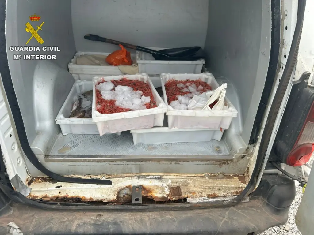 La Guardia Civil interviene en La Gomera más de 28 kg de pescado y marisco transportados en un vehículo de forma irregular.