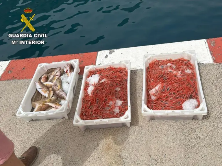 Destruyen en La Gomera más de 28 kg de pescado y marisco peligroso para la salud