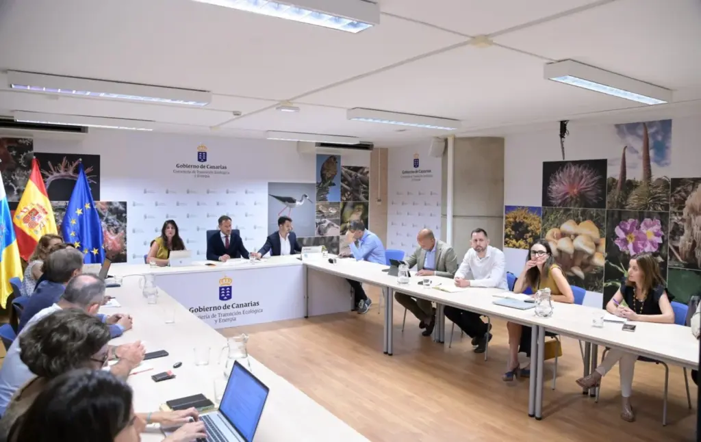 Canarias pide al Estado que no cierre el grifo de la financiación cuando la transición energética está dando resultados