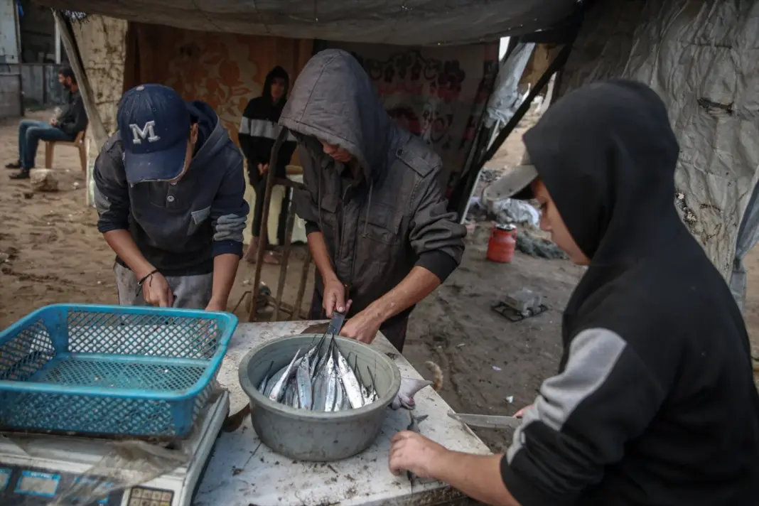 Pescadores palestinos en el puerto de Gaza preparando sus materiales de trabajo para salir a faenar pese a los ataques del Ejército de Israel contra la Franja (archivo). Europa Press/Contacto/Omar Ashtawy