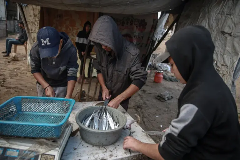 Palestina, Sudán, Sudán del Sur y Yemen, principales focos de hambre en el mundo