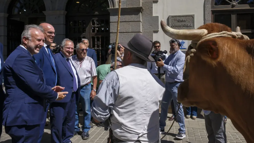 Hereu y Torres destacan la proyección del Pino con su declaración de Interés Nacional